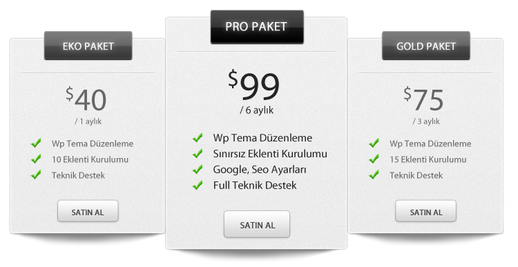 Wordpress konusunda ücretli teknik destek.