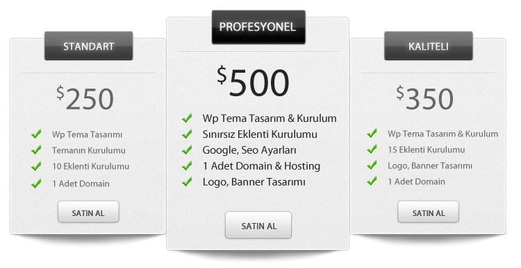 Wordpress konusunda ücretli teknik tasarım hizmeti.