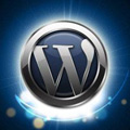 Wordpress Temanıza Özel Alan Resmi 2